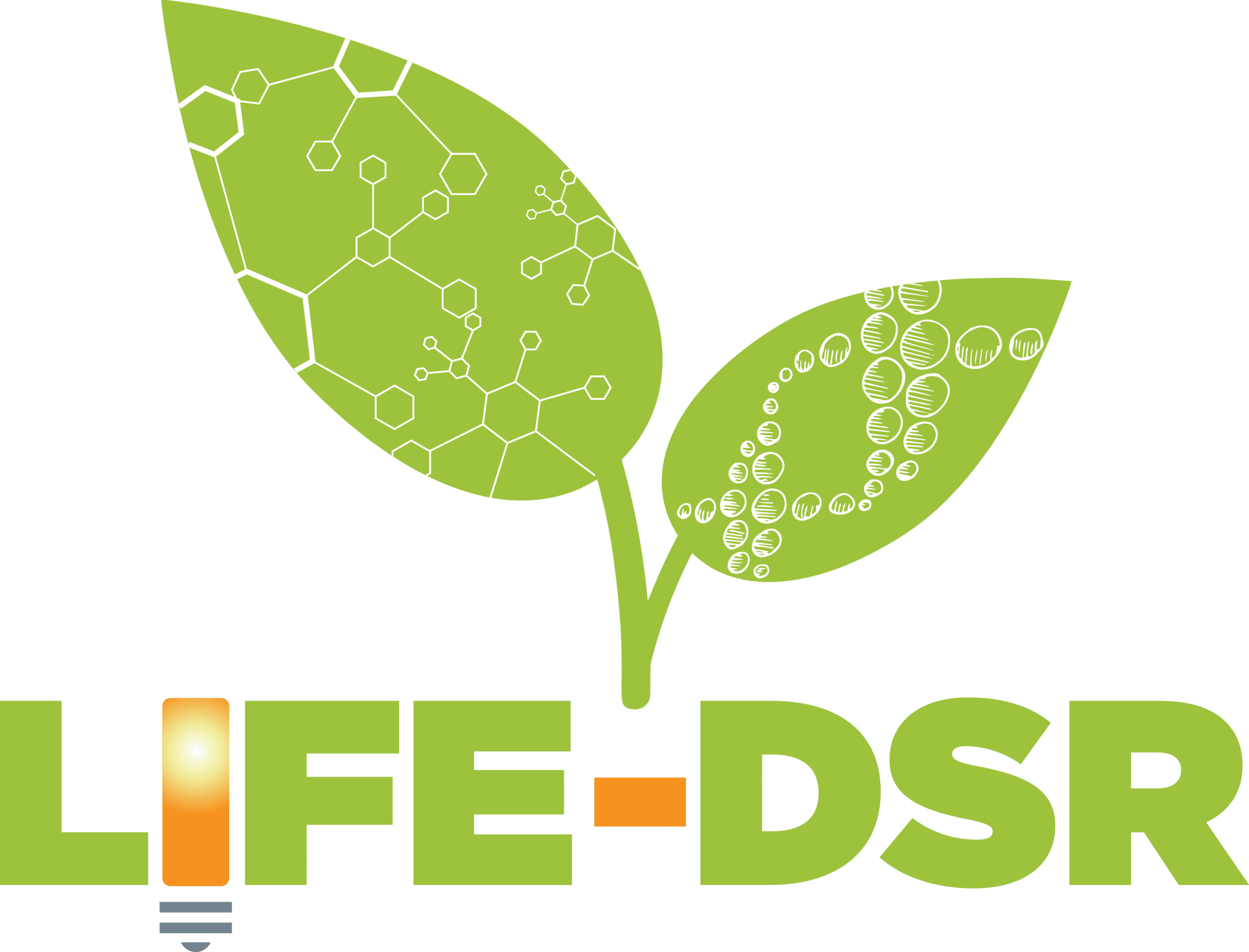 LIFE DSR down syndrome study logo